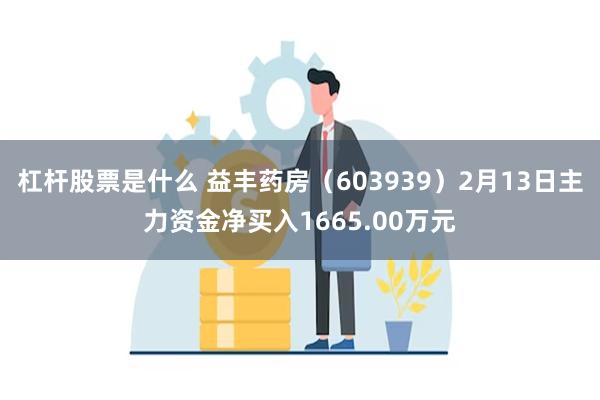杠杆股票是什么 益丰药房（603939）2月13日主力资金净买入1665.00万元