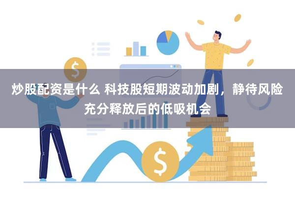 炒股配资是什么 科技股短期波动加剧，静待风险充分释放后的低吸机会