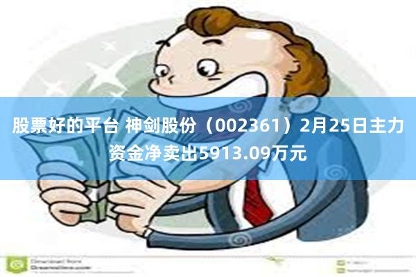 股票好的平台 神剑股份（002361）2月25日主力资金净卖出5913.09万元