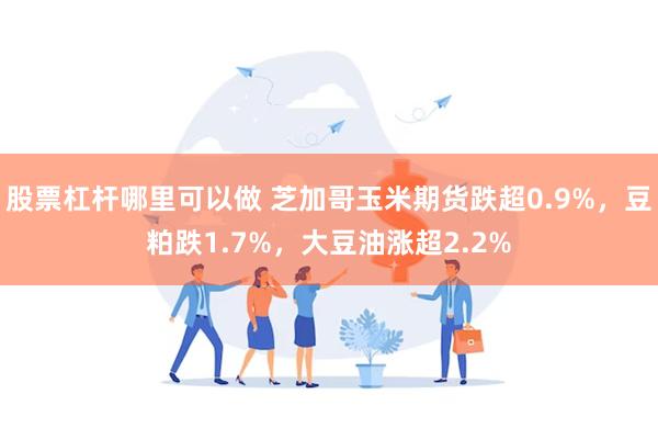股票杠杆哪里可以做 芝加哥玉米期货跌超0.9%，豆粕跌1.7%，大豆油涨超2.2%