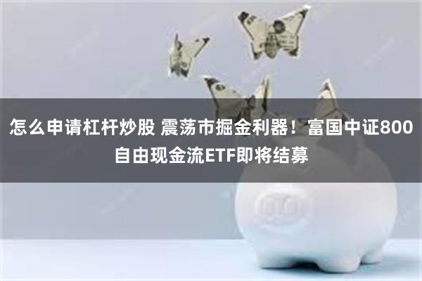 怎么申请杠杆炒股 震荡市掘金利器！富国中证800自由现金流ETF即将结募