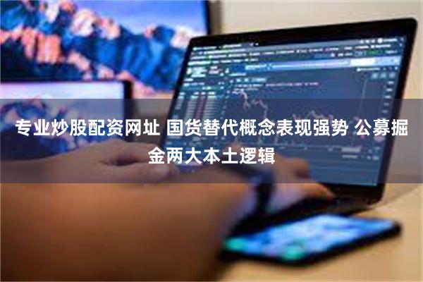 专业炒股配资网址 国货替代概念表现强势 公募掘金两大本土逻辑