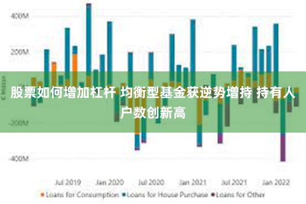 股票如何增加杠杆 均衡型基金获逆势增持 持有人户数创新高