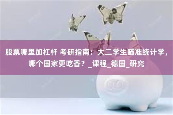 股票哪里加杠杆 考研指南：大二学生瞄准统计学，哪个国家更吃香？_课程_德国_研究
