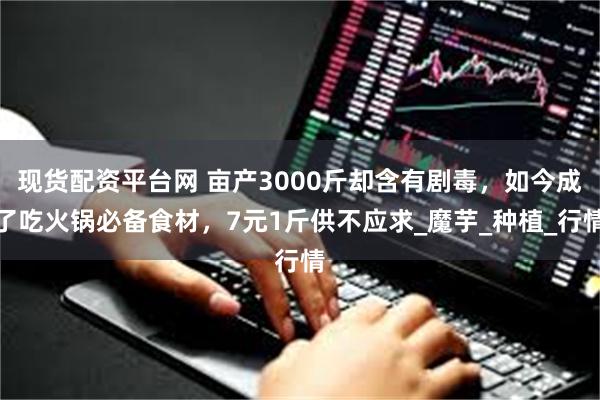 现货配资平台网 亩产3000斤却含有剧毒，如今成了吃火锅必备食材，7元1斤供不应求_魔芋_种植_行情