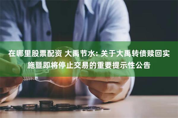 在哪里股票配资 大禹节水: 关于大禹转债赎回实施暨即将停止交易的重要提示性公告