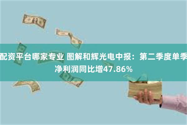 配资平台哪家专业 图解和辉光电中报：第二季度单季净利润同比增47.86%