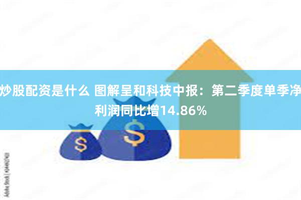 炒股配资是什么 图解呈和科技中报：第二季度单季净利润同比增14.86%