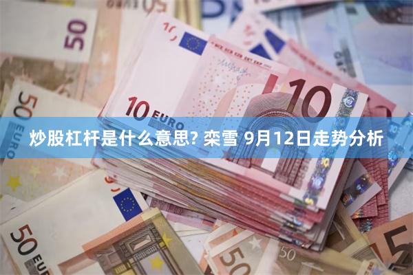 炒股杠杆是什么意思? 栾雪 9月12日走势分析