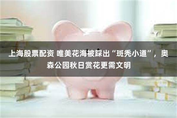 上海股票配资 唯美花海被踩出“斑秃小道”，奥森公园秋日赏花更需文明