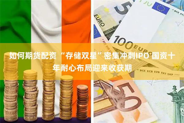 如何期货配资 “存储双星”密集冲刺IPO 国资十年耐心布局迎来收获期
