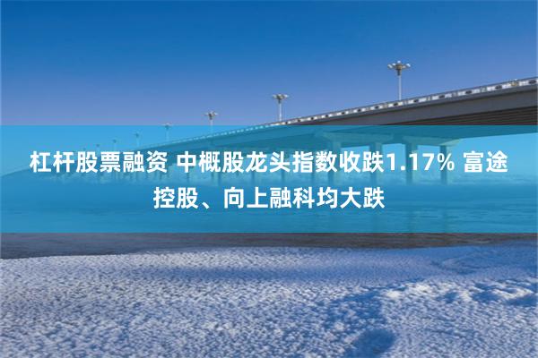 杠杆股票融资 中概股龙头指数收跌1.17% 富途控股、向上融科均大跌