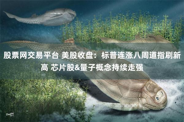 股票网交易平台 美股收盘：标普连涨八周道指刷新高 芯片股&量子概念持续走强
