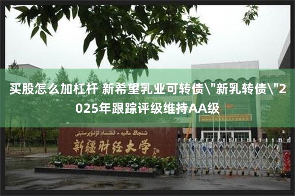 买股怎么加杠杆 新希望乳业可转债