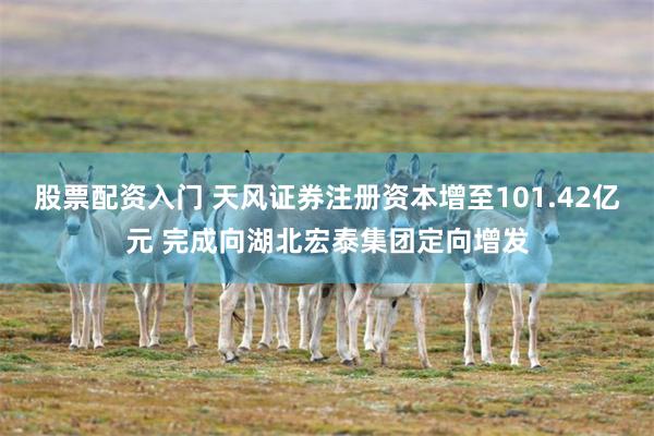 股票配资入门 天风证券注册资本增至101.42亿元 完成向湖北宏泰集团定向增发