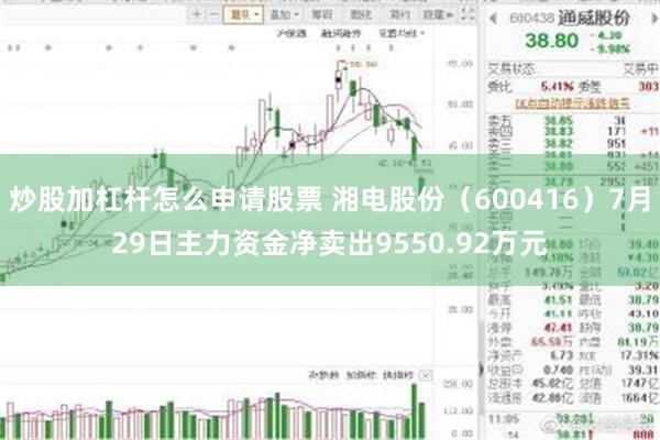炒股加杠杆怎么申请股票 湘电股份(600416)7月29日主力资金净卖出9550.92万元
