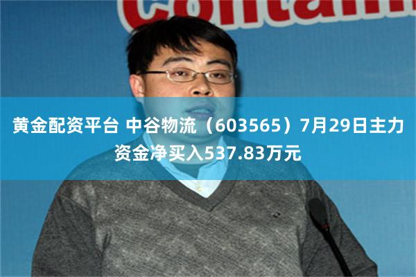 黄金配资平台 中谷物流（603565）7月29日主力资金净买入537.83万元
