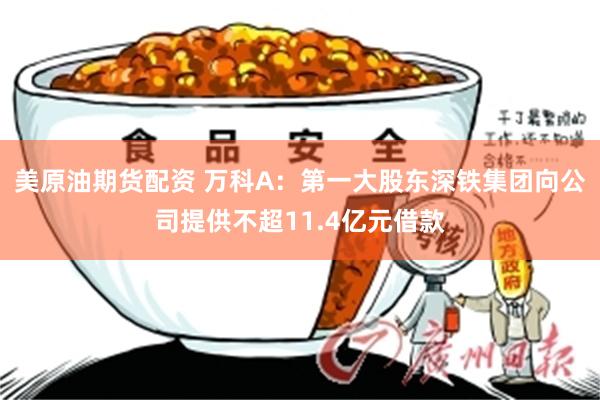 美原油期货配资 万科A：第一大股东深铁集团向公司提供不超11.4亿元借款