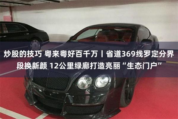 炒股的技巧 粤来粤好百千万丨省道369线罗定分界段换新颜 12公里绿廊打造亮丽“生态门户”