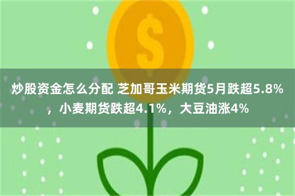 炒股资金怎么分配 芝加哥玉米期货5月跌超5.8%，小麦期货跌超4.1%，大豆油涨4%