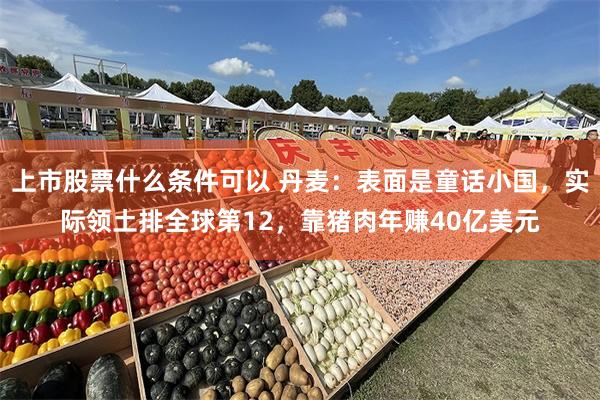 上市股票什么条件可以 丹麦：表面是童话小国，实际领土排全球第12，靠猪肉年赚40亿美元