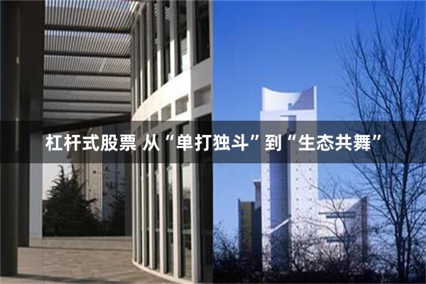 杠杆式股票 从“单打独斗”到“生态共舞”