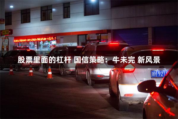 股票里面的杠杆 国信策略:牛未完 新风景
