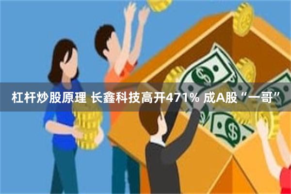杠杆炒股原理 长鑫科技高开471% 成A股“一哥”