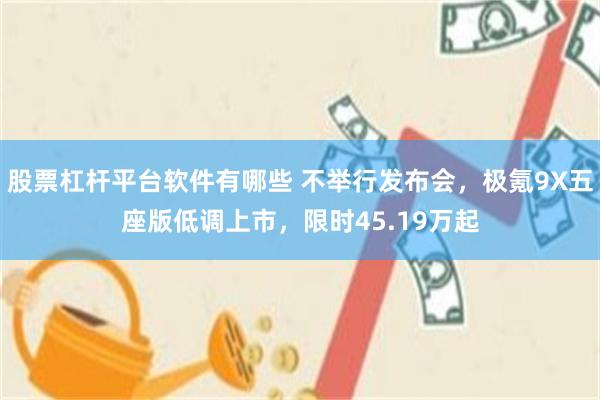 股票杠杆平台软件有哪些 不举行发布会，极氪9X五座版低调上市，限时45.19万起