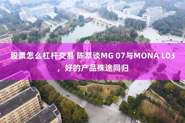 股票怎么杠杆交易 陈萃谈MG 07与MONA L03，好的产品殊途同归