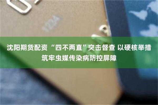 沈阳期货配资 “四不两直”突击督查 以硬核举措筑牢虫媒传染病防控屏障