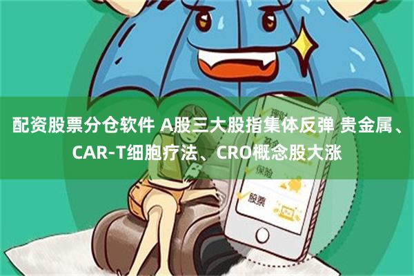 配资股票分仓软件 A股三大股指集体反弹 贵金属、CAR-T细胞疗法、CRO概念股大涨