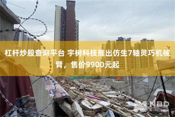 杠杆炒股查询平台 宇树科技推出仿生7轴灵巧机械臂，售价9900元起