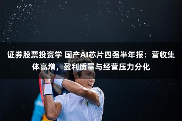 证券股票投资学 国产AI芯片四强半年报：营收集体高增，盈利质量与经营压力分化