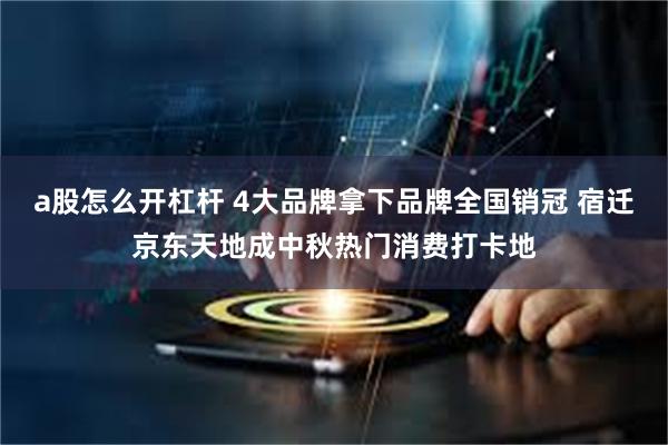 a股怎么开杠杆 4大品牌拿下品牌全国销冠 宿迁京东天地成中秋热门消费打卡地