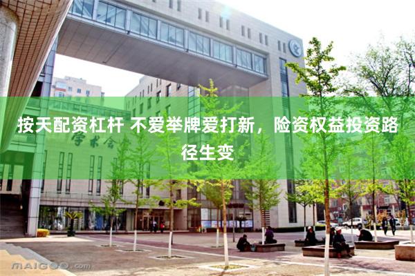 按天配资杠杆 不爱举牌爱打新，险资权益投资路径生变